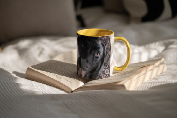 Pet photo gifts that’ll melt hearts