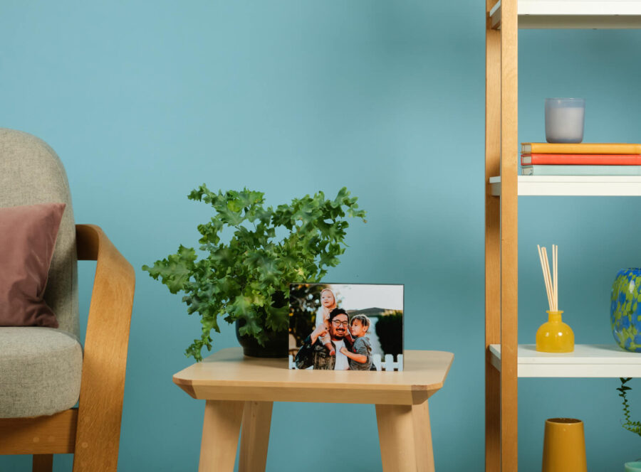 Fujifilm Lightweight photo block